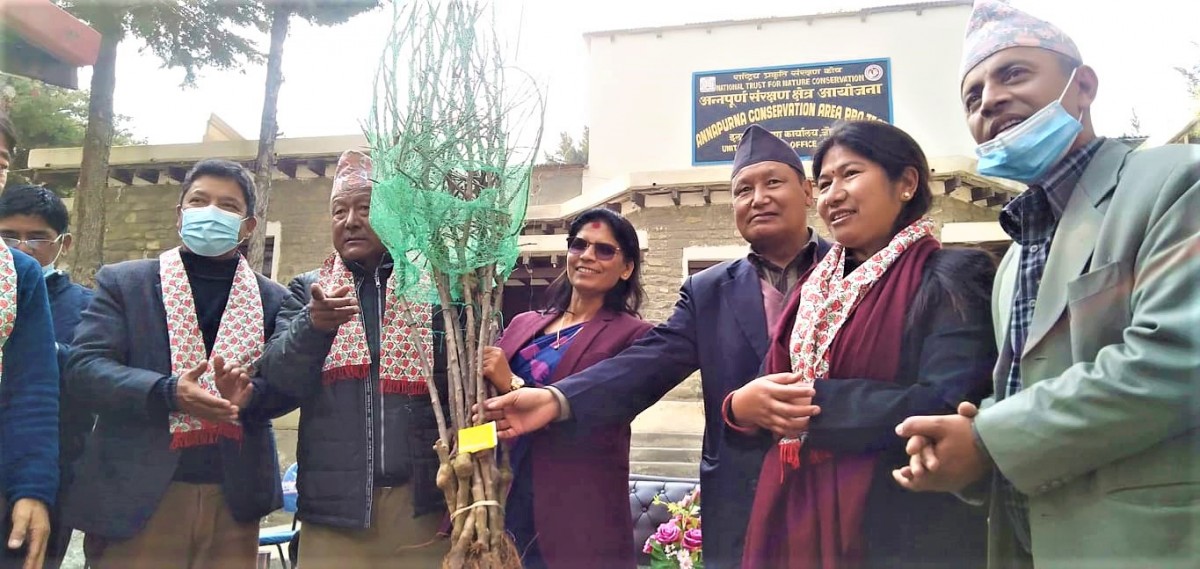 सरकारले उच्च प्रविधिको स्याउ नर्सरी सुरु गर्छ :मन्त्री अर्याल