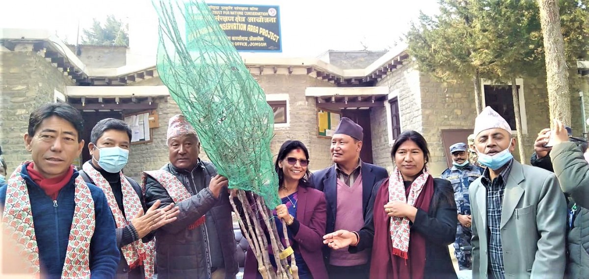 padma 2.jpg