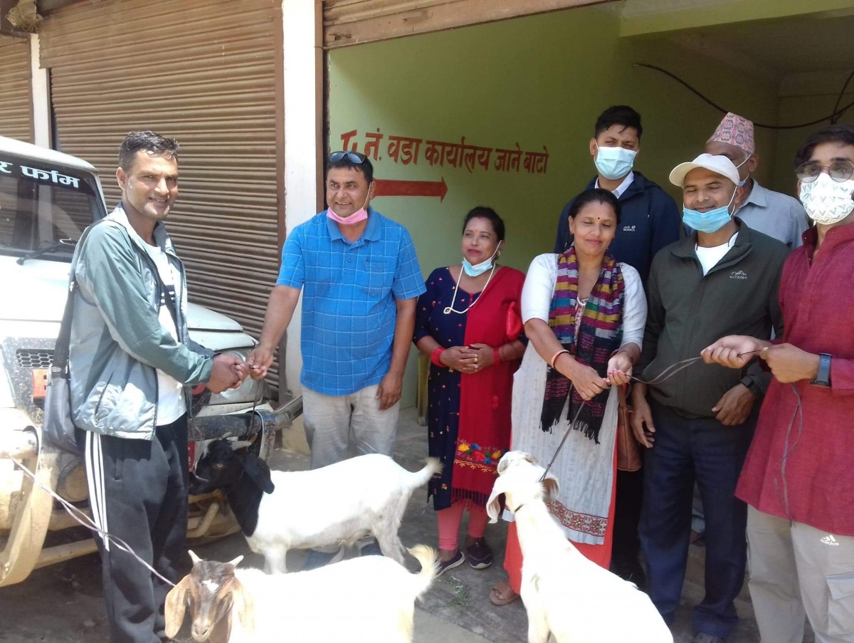 वालिङमा बीउ बोका वितरण