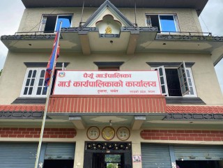 पर्वतको पैयूंमा चोरको विगविगि, गाउँपालिका नै फोर्ने प्रयास