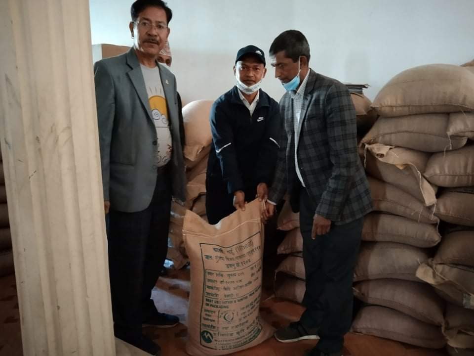वालिङमा किसानलाई अनुदानमा गहुँको बीउ वितरण