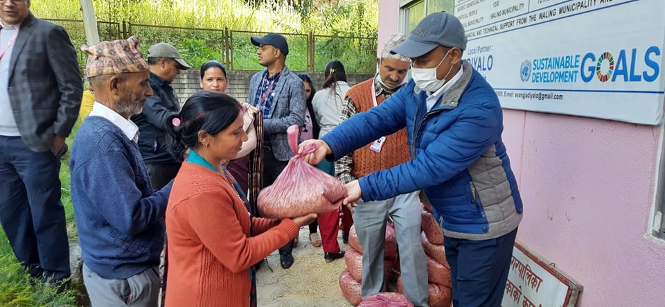 वालिङमा  घाँसको बिउ बितरण  