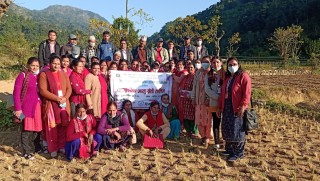 वालिङका आलु कृषकहरुको खेतमा नै पुगेर बिज्ञद्धारा प्रशिक्षण