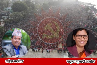 पूर्वमन्त्री पद्मा अर्याल र बस्नेतलाई पदाधिकारीमा निर्वाचित गर्न माग