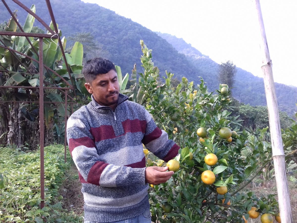 स्याङ्जाका युवा जागिर छाडेर कृषि पेशामा