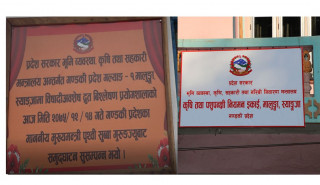 बेवारीसे बन्यो विषादी प्रयोगशाला: कार्यालय छ, कर्मचारी छन, तर काम हुदैन