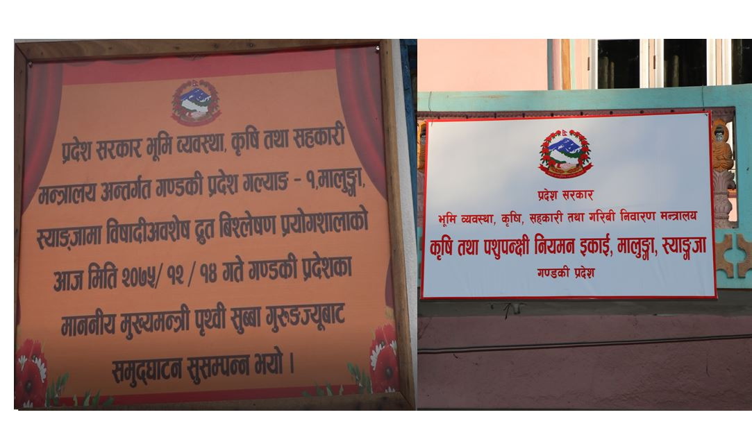 बेवारीसे बन्यो विषादी प्रयोगशाला: कार्यालय छ, कर्मचारी छन, तर काम हुदैन