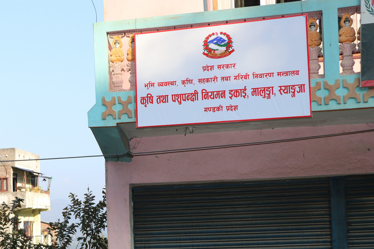 bisadai 11.jpg