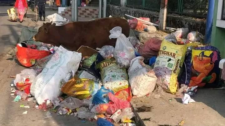 पोखरामा सडकमै थुप्रियो फोहोर