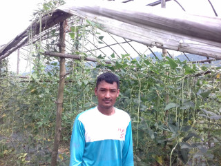तीन रोपनीको अन्नबालीलाई आधा रोपनीको तरकारीले जित्छ