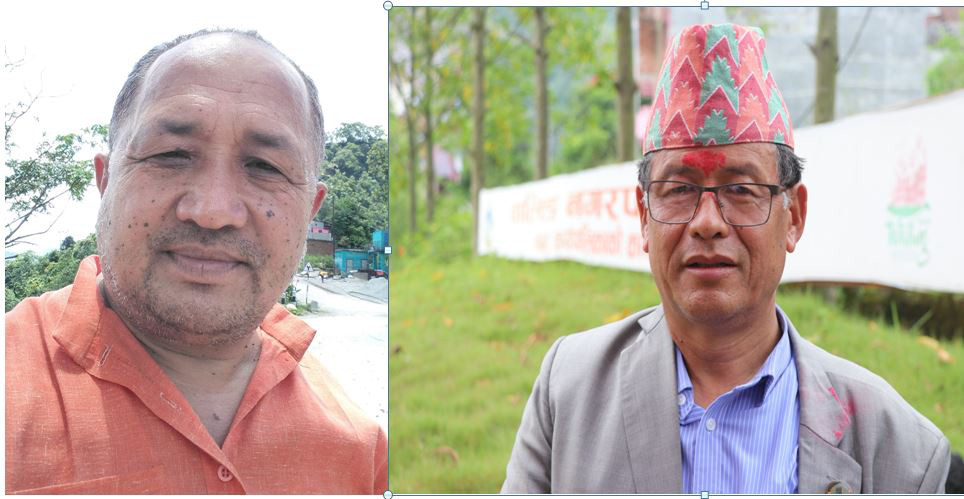 धनराजका बागी  पाण्डेलाई  आफ्नै मुर्खताको बिजयमा सन्तोष !