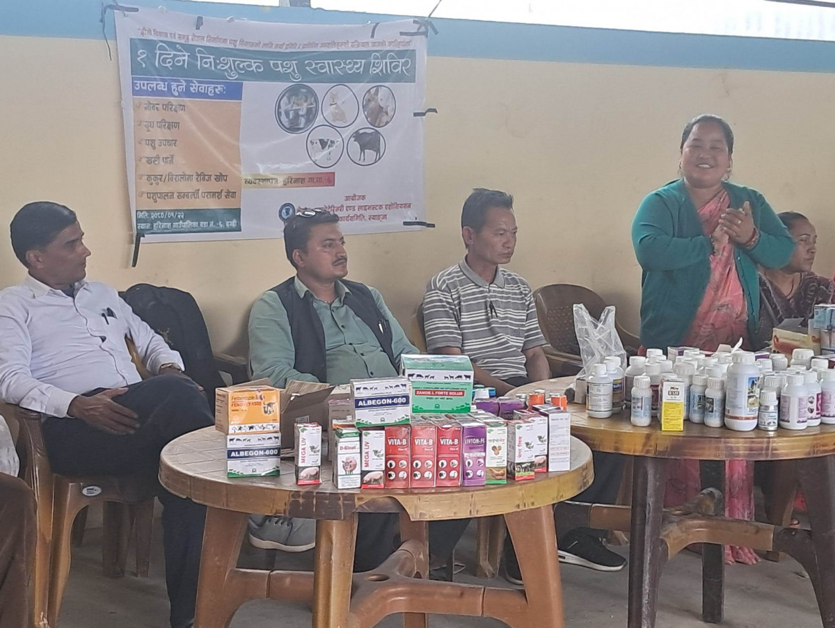 दग्दीमा एक दिने   पशु स्वास्थ्य  शिविर  सम्पन्न