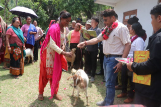 रामपुरमा महिला दिदिबहिनीहरुलाई बाख्रा उपहार