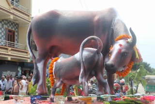 रामपुरमा गौशालिक अनावरण