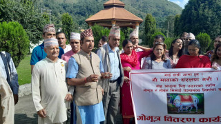 वालिङमा गौमुत्र वितरण