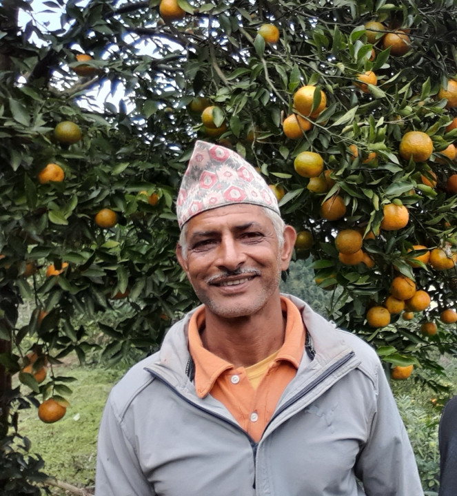 ढुङ्गानाको रहर लाग्दो बगैंचाबाट भरलाग्दो आम्दानी