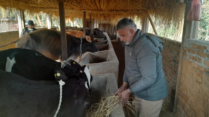 १७ वर्ष वैदेशिक रोजगारीपछि कृषि कर्ममा रमाउने प्रयासमा शालिकराम