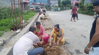 सुन्दरतासँगै पर्यावरण जोगाउन वालिङका युवाहरुद्वारा वृक्षारोपण