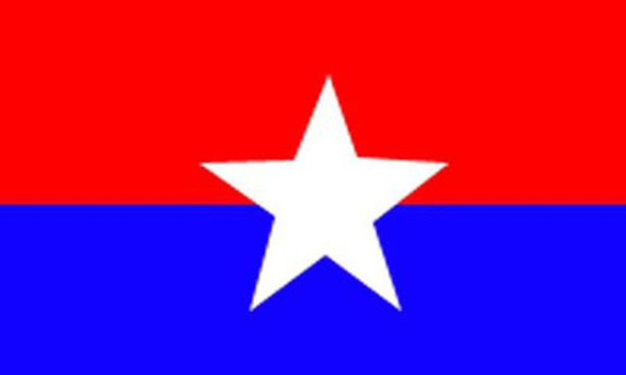 राष्ट्रिय युवा संघ नेपाल स्याङ्जाद्वारा वृहत रक्तदान कार्यक्रम गरिने