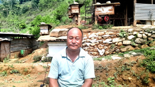 जङ्गलबाट ल्याएको मौरी पूर्णबहादुरको आय आर्जनको माध्यम बन्दै