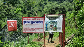 फस्टाउँदो ड्रागन, व्यक्ति एक उत्पादन अनेक