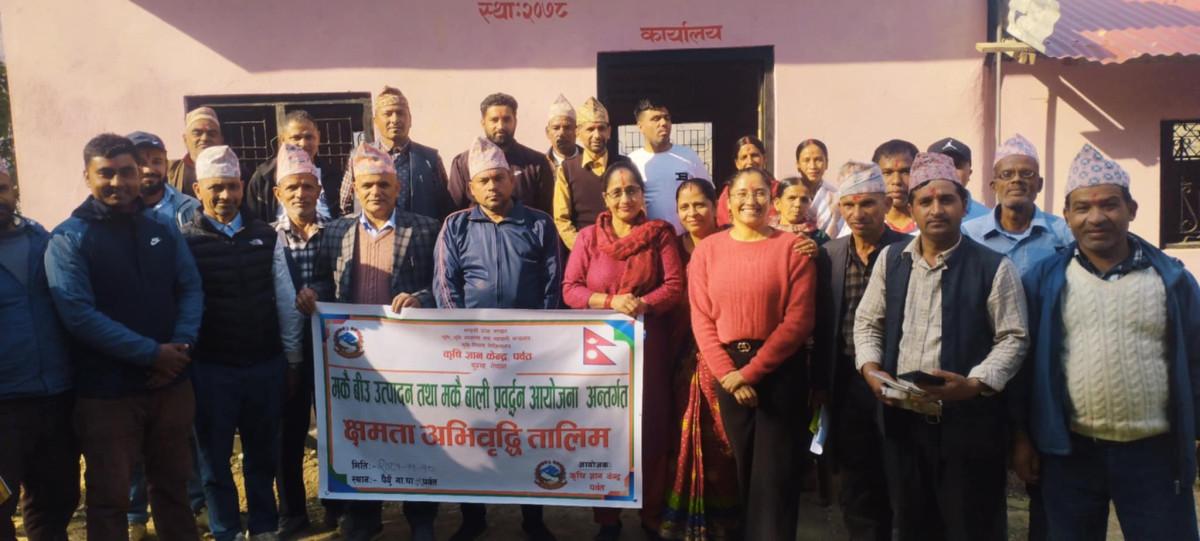 पैयूँमा मकै बीउ उत्पादन तथा बाली प्रवर्द्धन सम्बन्धी तालिम सम्पन्न