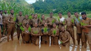 पैयूँमा भव्य रूपमा राष्ट्रिय धान दिवस मनाइयो