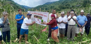 बिरुवा गाउँपालिकामा २२ औं राष्ट्रिय धान दिवस भव्यताका साथ सम्पन्न,यो वर्षको धान दिवस सकियो
