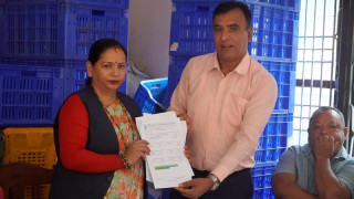 वालिङका तरकारी किसानलाई प्रतिकिलो ५ रुपैयाँ प्रोत्साहन अनुदान