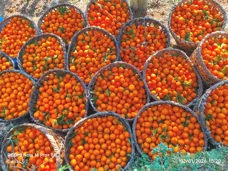 orang syangj 1.jpg